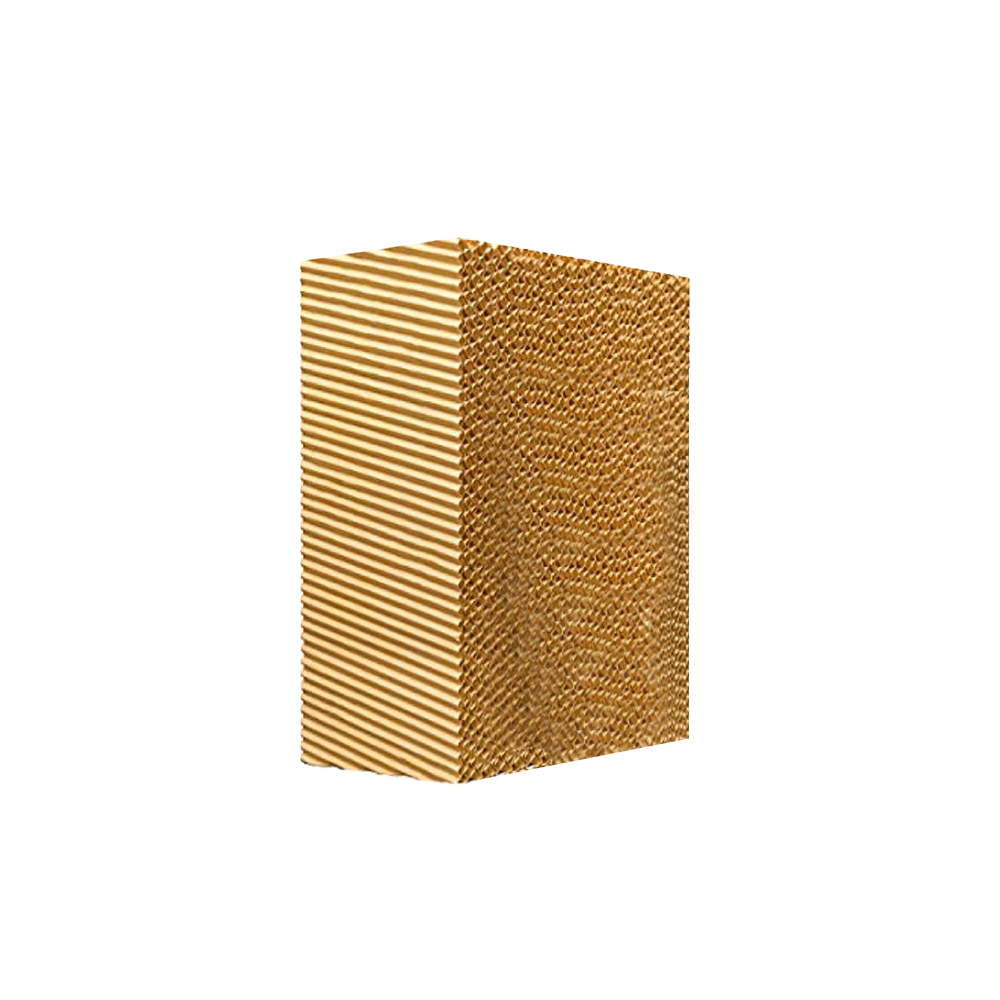 CELDEK 5090 6500/6800 S/LAT PZA