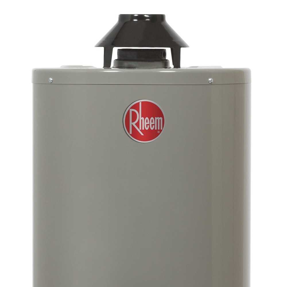 CALENTADOR AGUA 10 GALONES GAS LP RHEEM