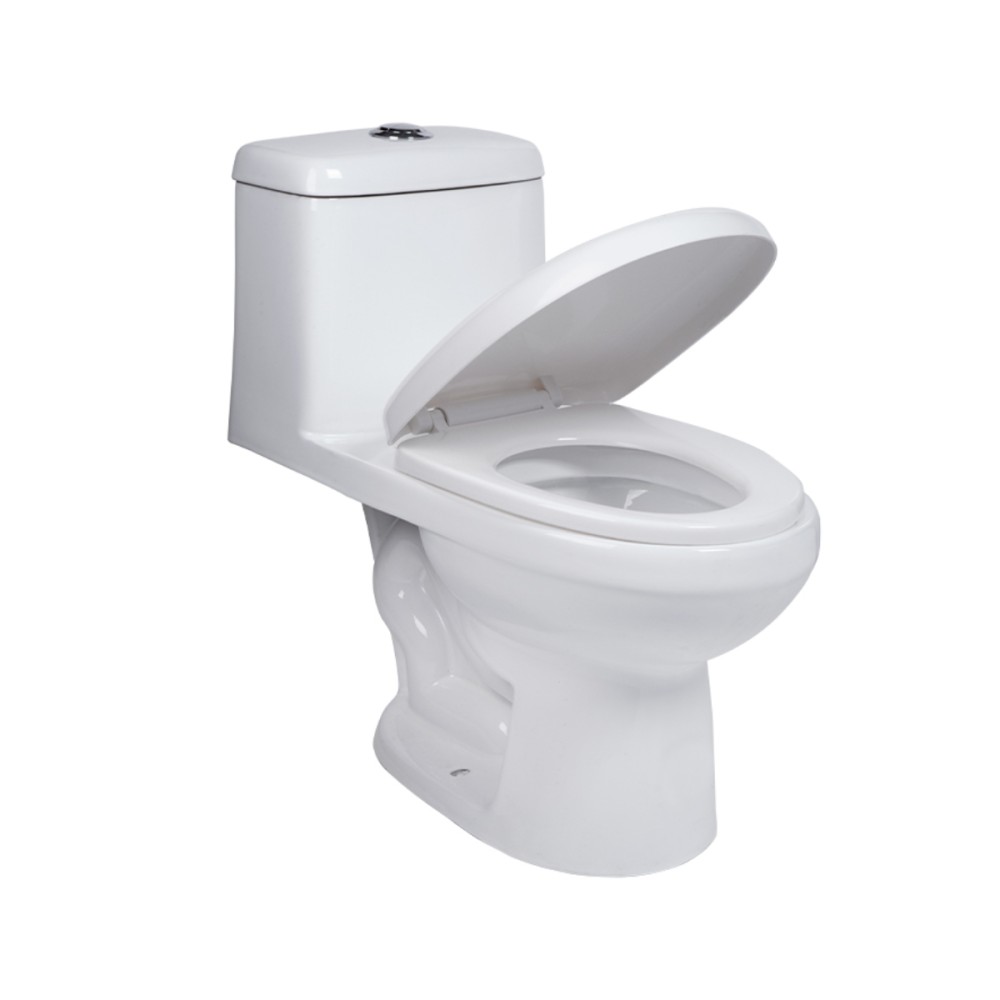 SANITARIO ALARGADO COMPLETO TAZA  TANQUE DICA